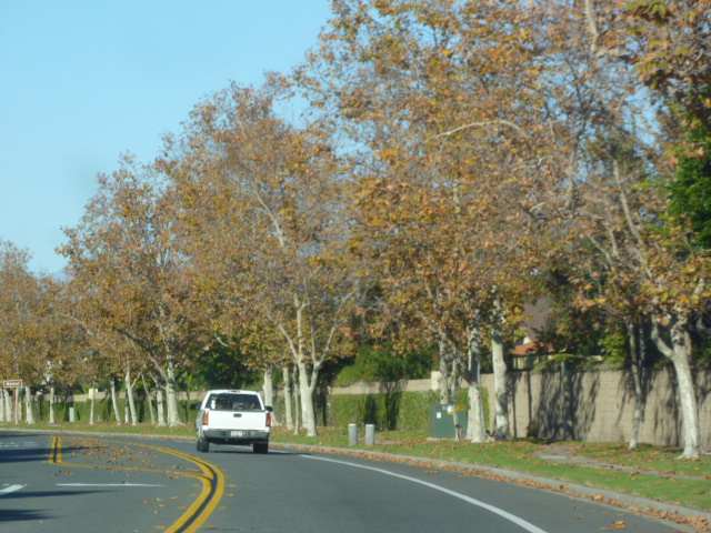a0144811_7135263.jpg
