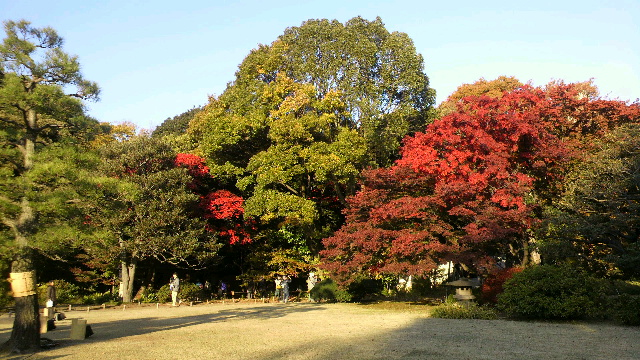 b0035611_2045410.jpg