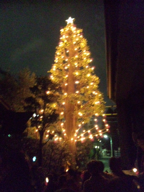 f0041311_943637.jpg