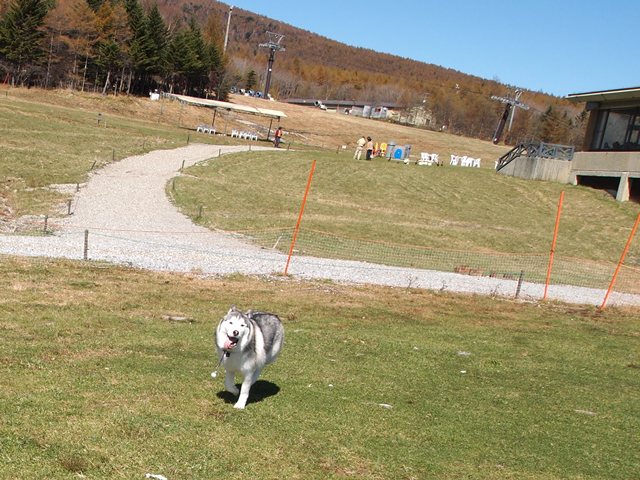 b0207615_23101050.jpg