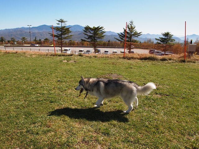 b0207615_23101459.jpg