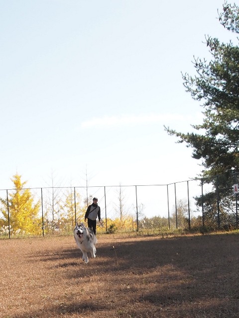 b0207615_23201159.jpg