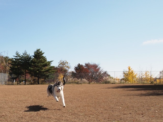 b0207615_23201332.jpg