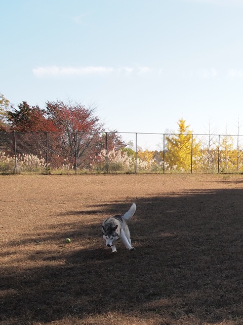 b0207615_23202485.jpg