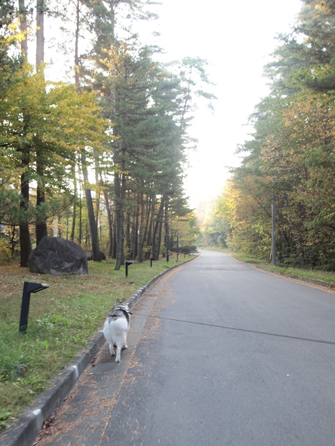 b0207615_2320269.jpg