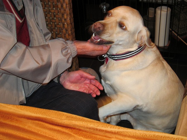 e0192217_920731.jpg