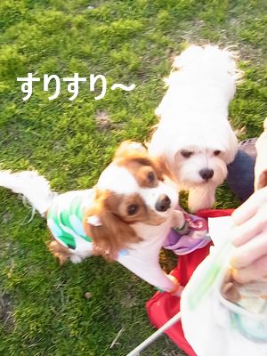 f0214121_17225674.jpg