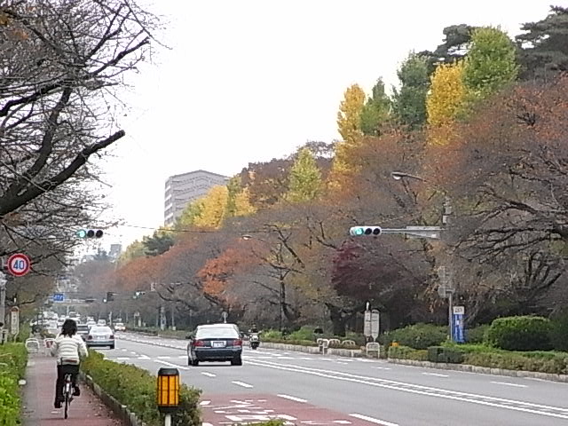 e0130722_15355649.jpg