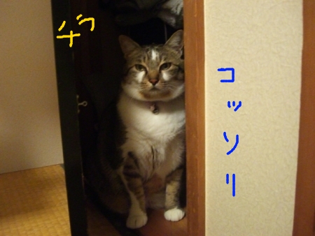 a0099131_12182862.jpg