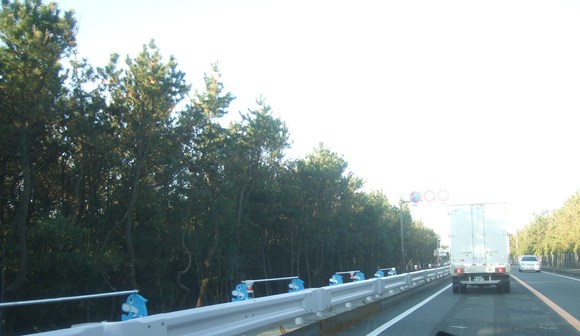b0137932_2182391.jpg