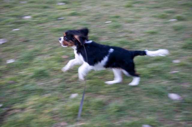 c0051132_20104997.jpg