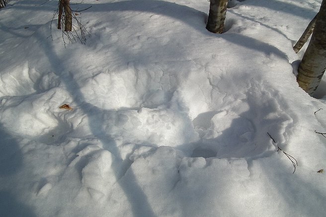f0118332_022853.jpg