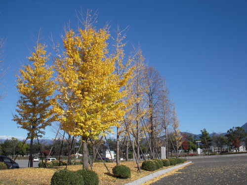 c0114833_2405129.jpg