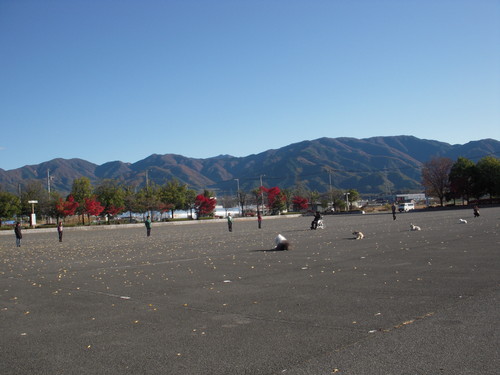 c0114833_2415935.jpg