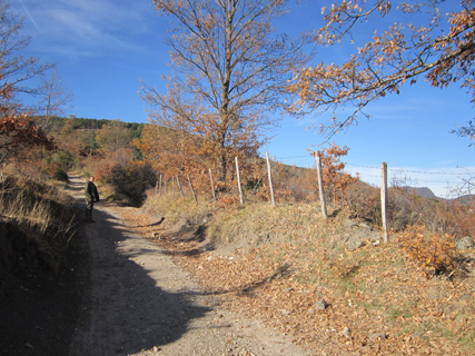 f0234936_2505181.jpg