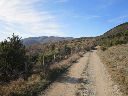 f0234936_2522536.jpg