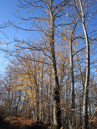 f0234936_256164.jpg