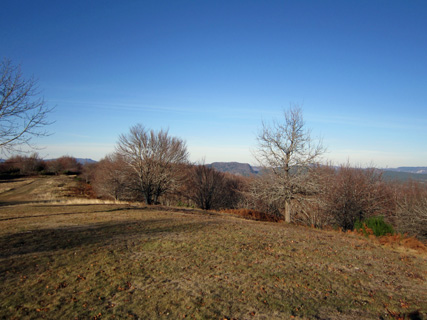 f0234936_304370.jpg