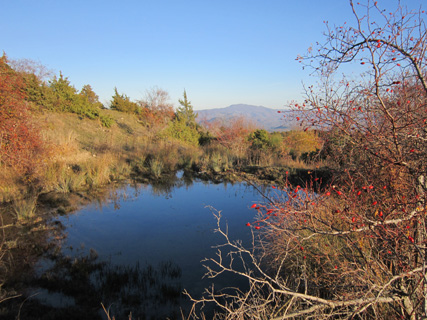 f0234936_31541.jpg