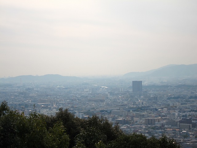 a0219537_11529.jpg