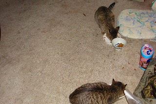 b0200747_2222165.jpg