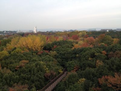 c0073649_1116389.jpg
