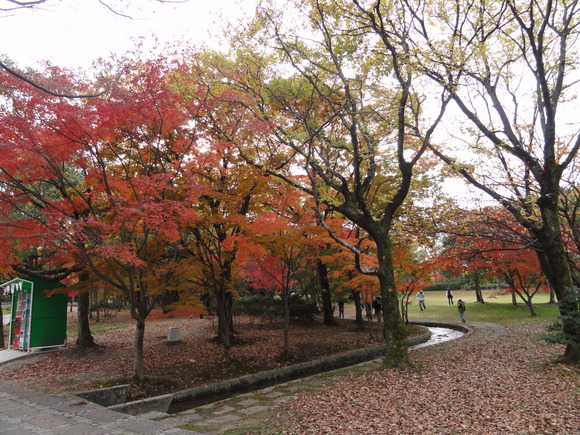 c0073649_1151585.jpg