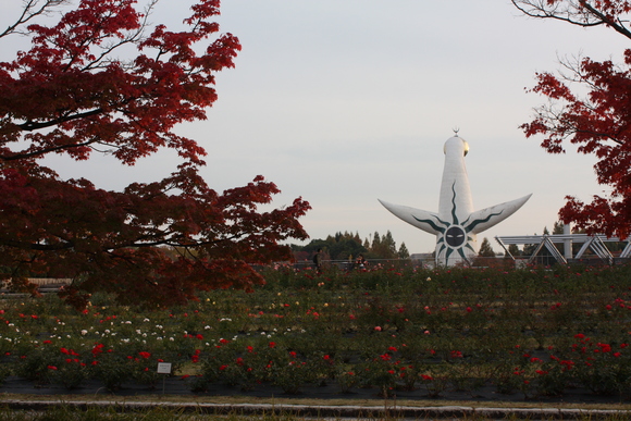 c0073649_11573626.jpg
