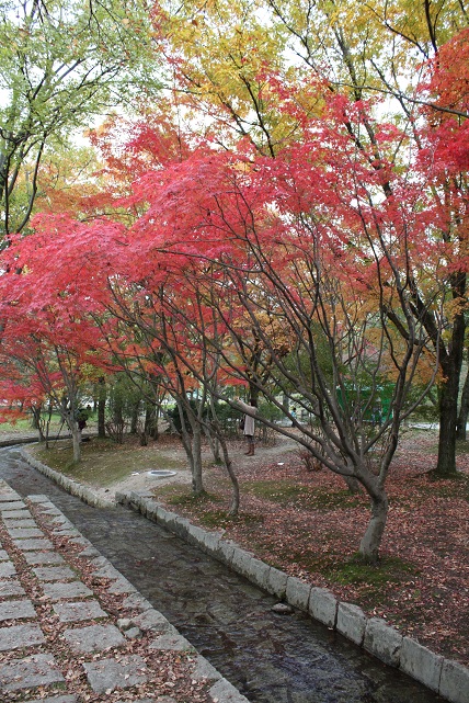 c0073649_11595740.jpg