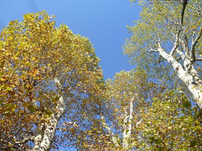 b0220251_4494475.jpg