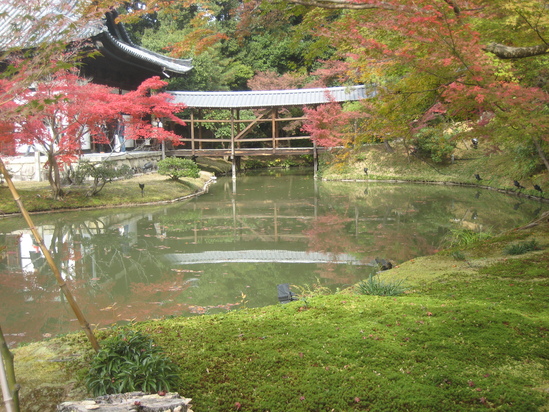 c0073152_22554931.jpg