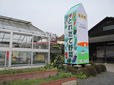 d0031853_1718593.jpg