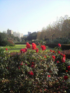 c0060659_23484382.jpg
