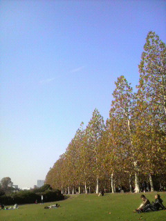c0060659_23485756.jpg