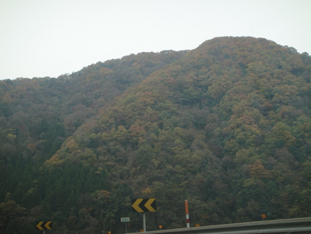 c0108460_1854038.jpg
