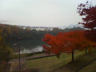 a0148061_11251910.jpg