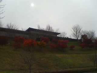 a0148061_11261546.jpg