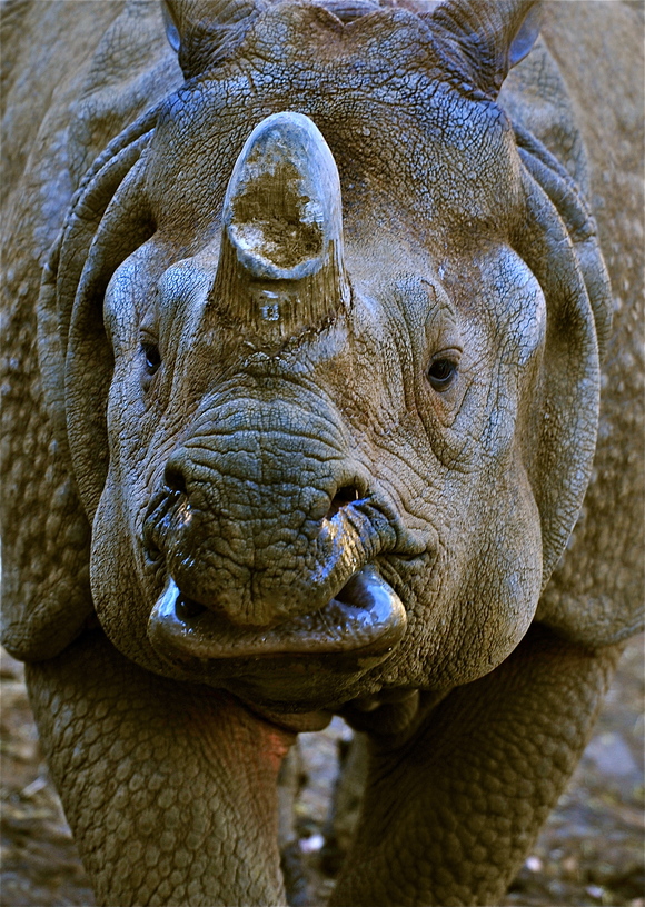 e0243965_16501063.jpg