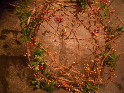 a0160267_1743142.jpg