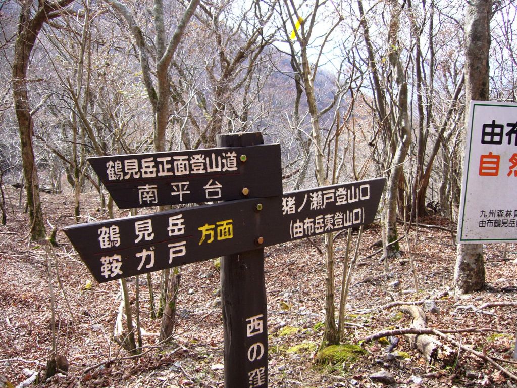 d0126573_124136.jpg
