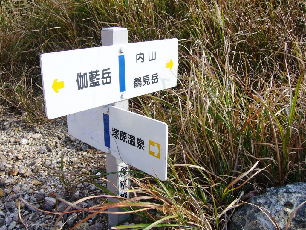 d0126573_1312088.jpg