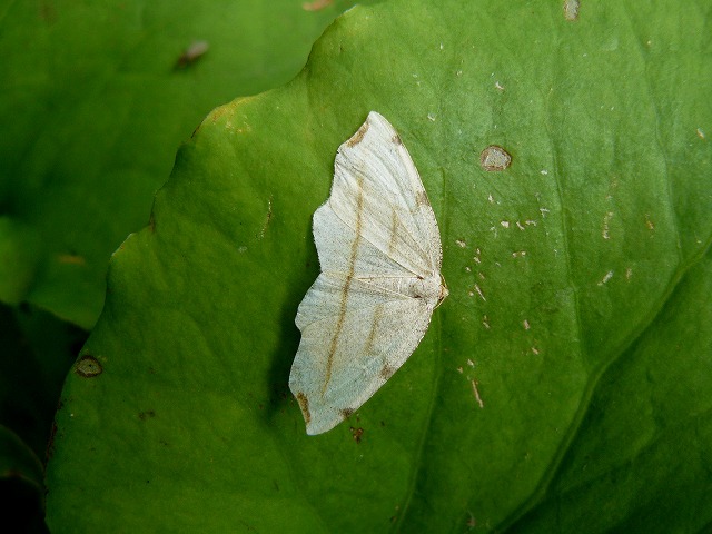 d0019074_8272961.jpg