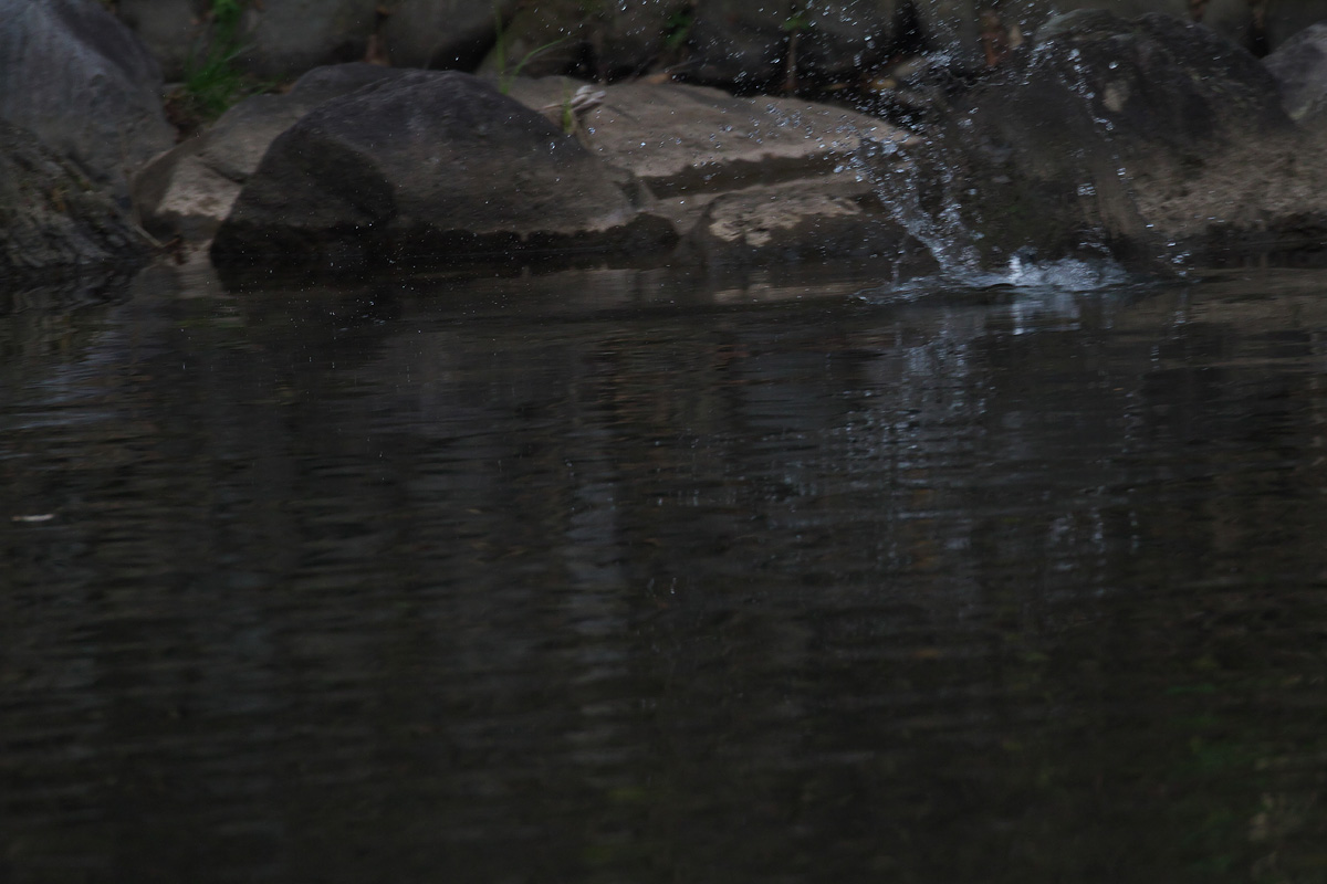 b0180476_2125365.jpg