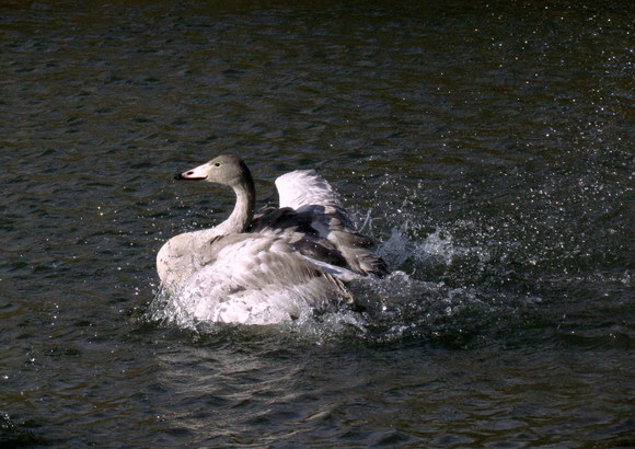 a0223677_23402045.jpg
