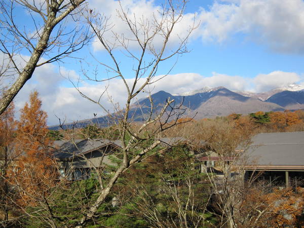 c0218879_1219126.jpg