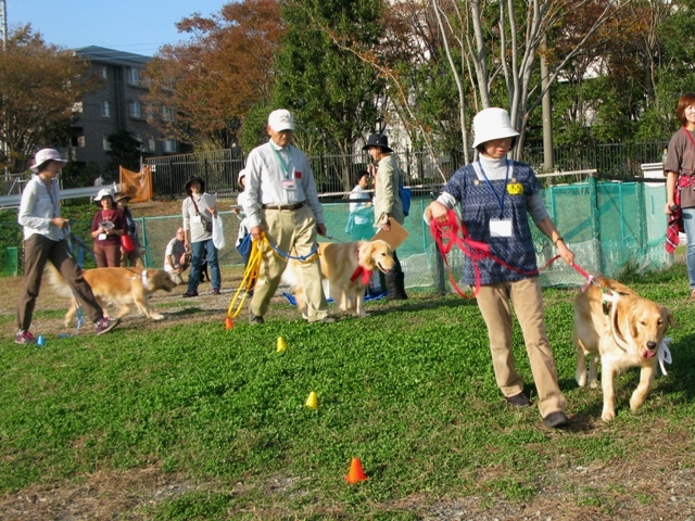 f0230380_1810847.jpg