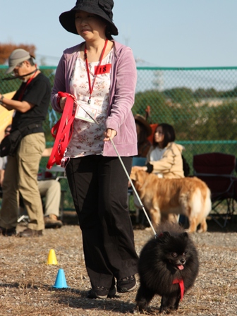 f0230380_18542666.jpg