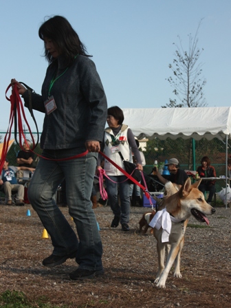 f0230380_1859106.jpg