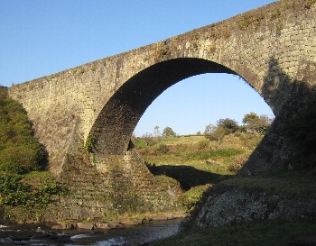 f0003283_2001196.jpg