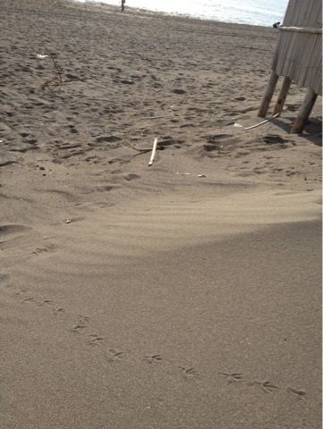 e0033384_93706.jpg